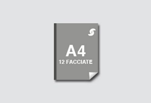 12 Pagine