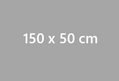Stampa Striscioni in PVC 150x50 cm