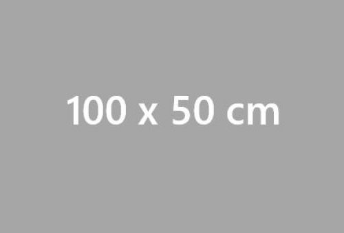 Stampa Striscioni in PVC 100x50 cm